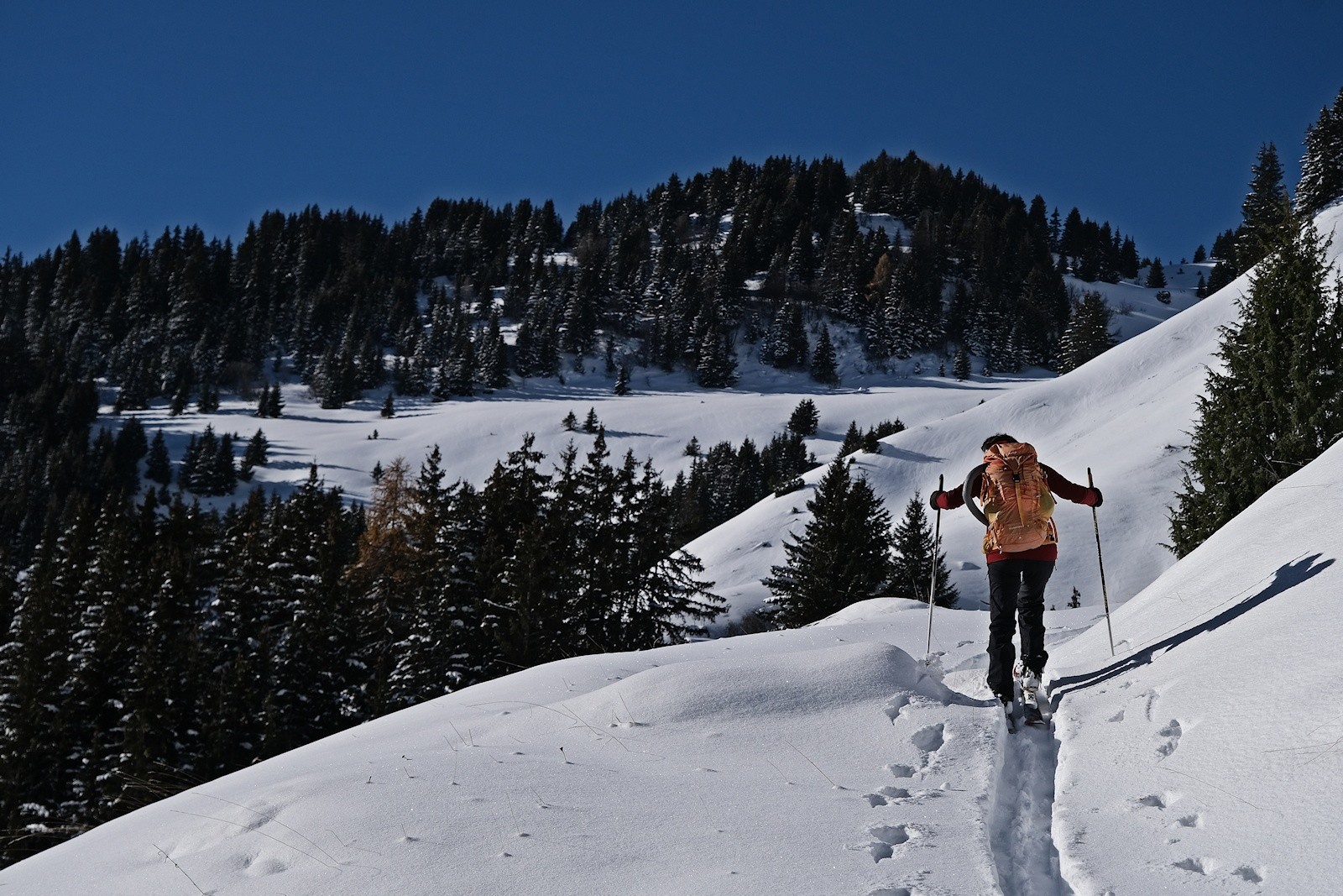 nous bénéficions un instant de la trace d'un randonneur.&nbsp;