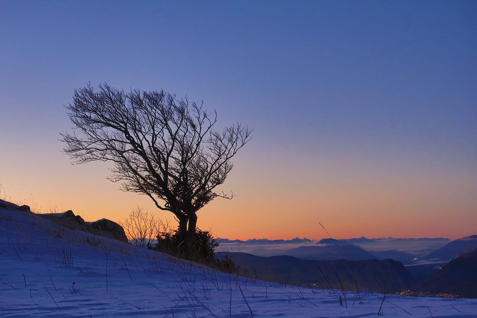 l'arbre. Et les amies et amis de Chartreuse au loin (Grand Som et Chamechaude).