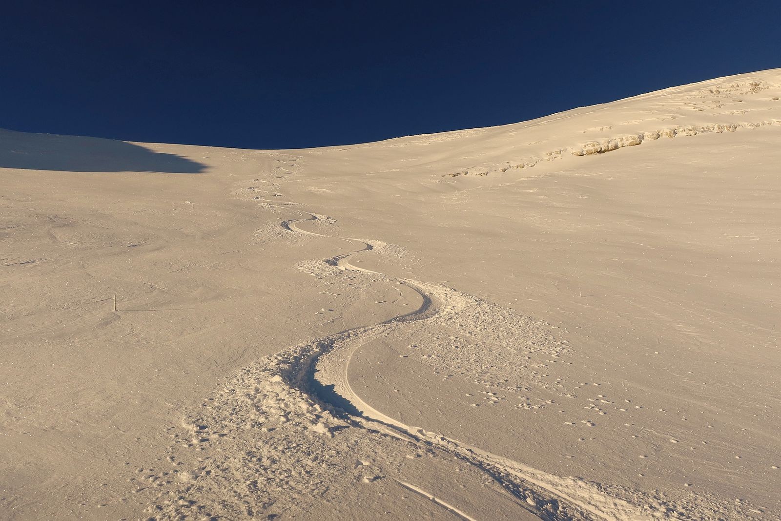 la première de la saison par ici 