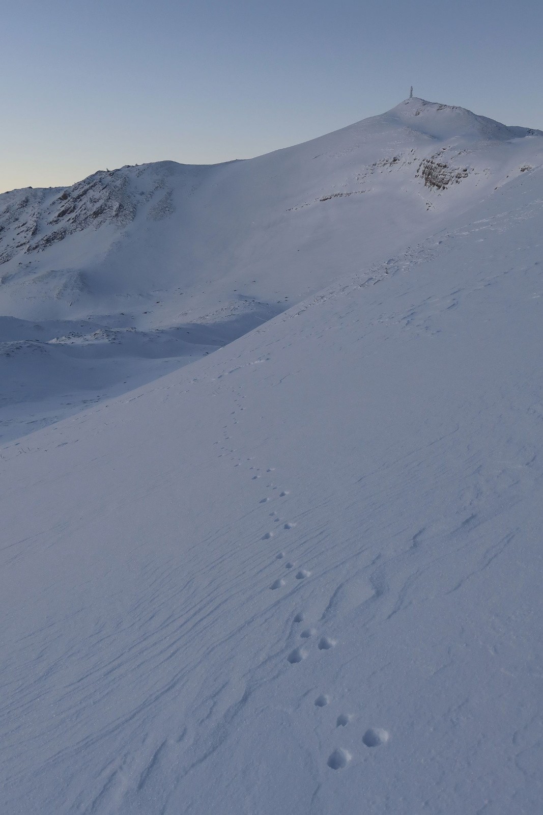 le lièvre est repassé par là