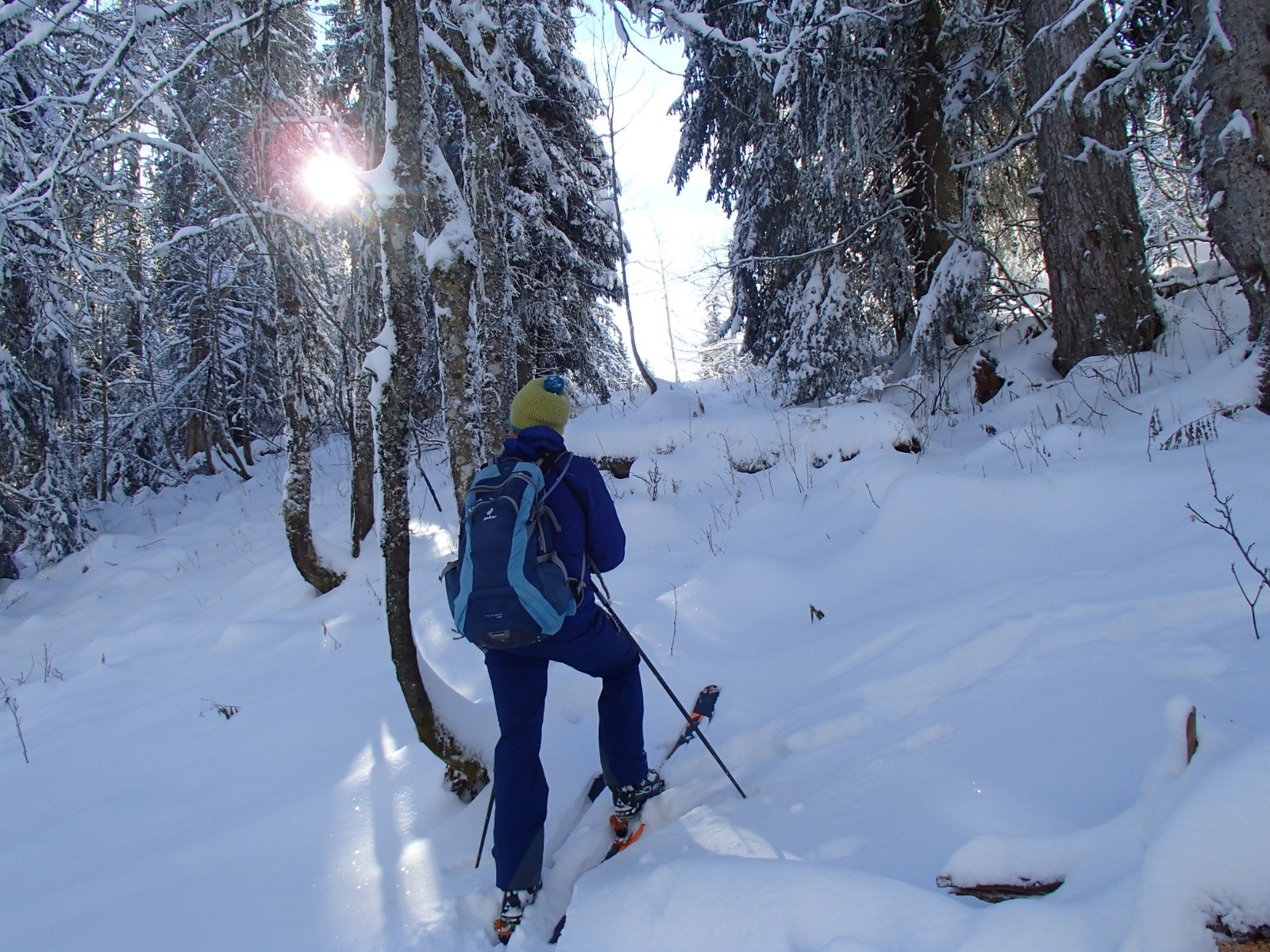 Dans le bois des Fraisses