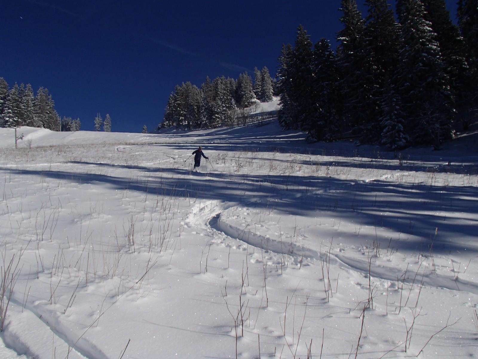 creux de la neige&nbsp;
