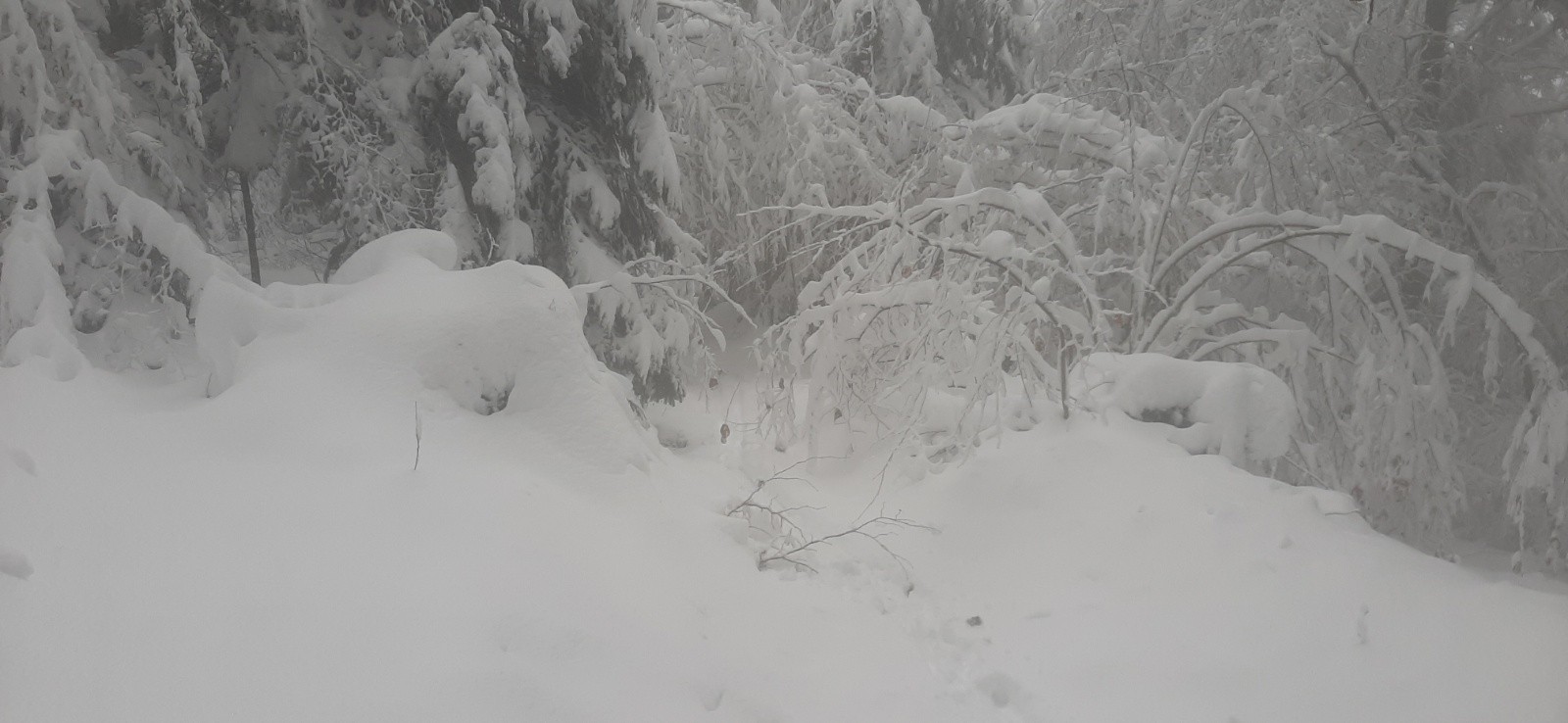 2iem montée par chemin