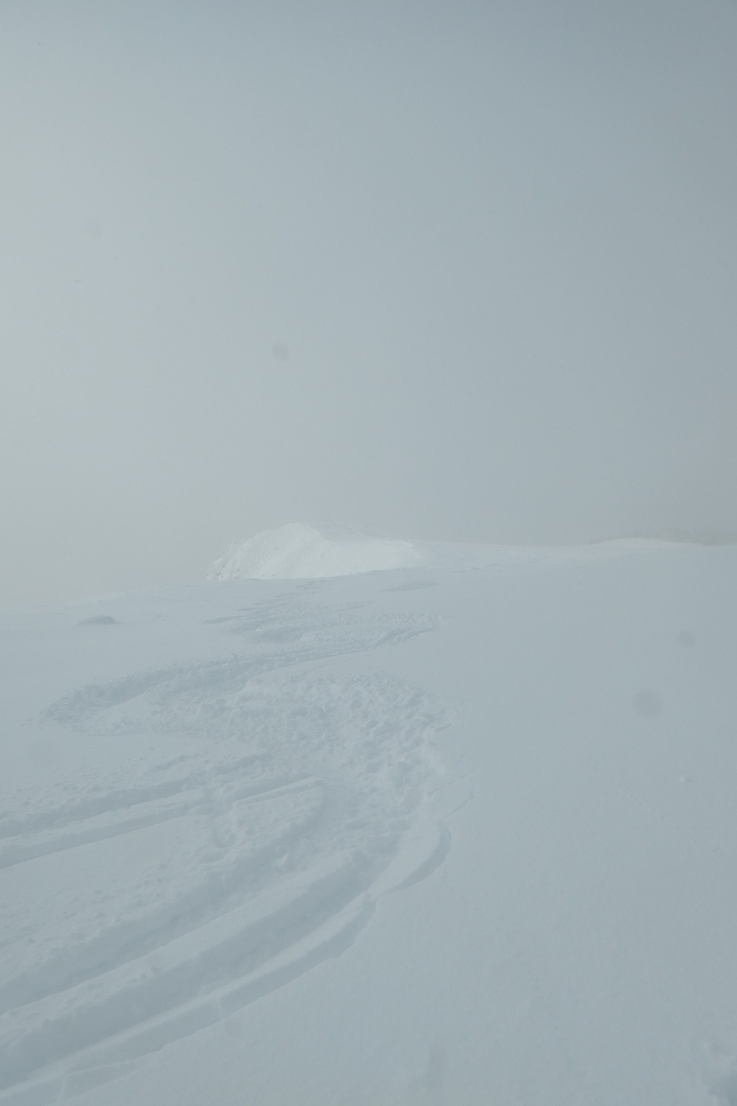 Nos premières traces 