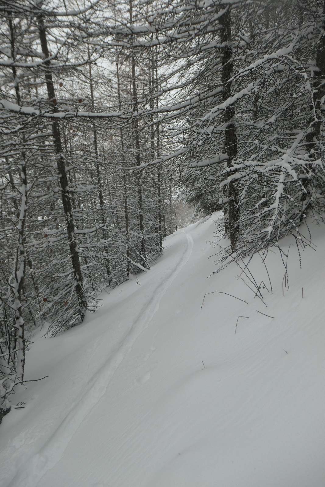 La trace est faite !&nbsp; 