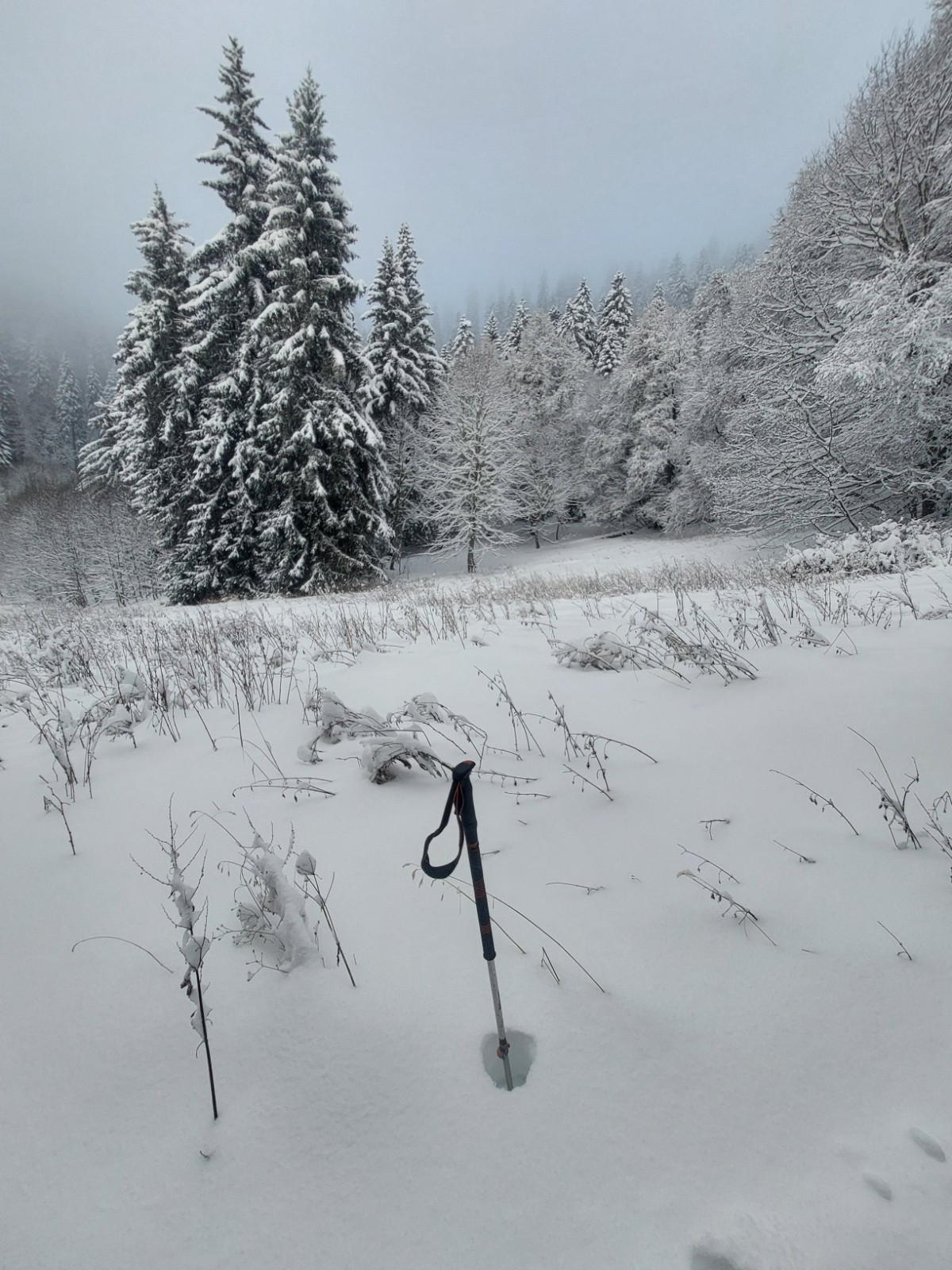Le test du bâton&nbsp;