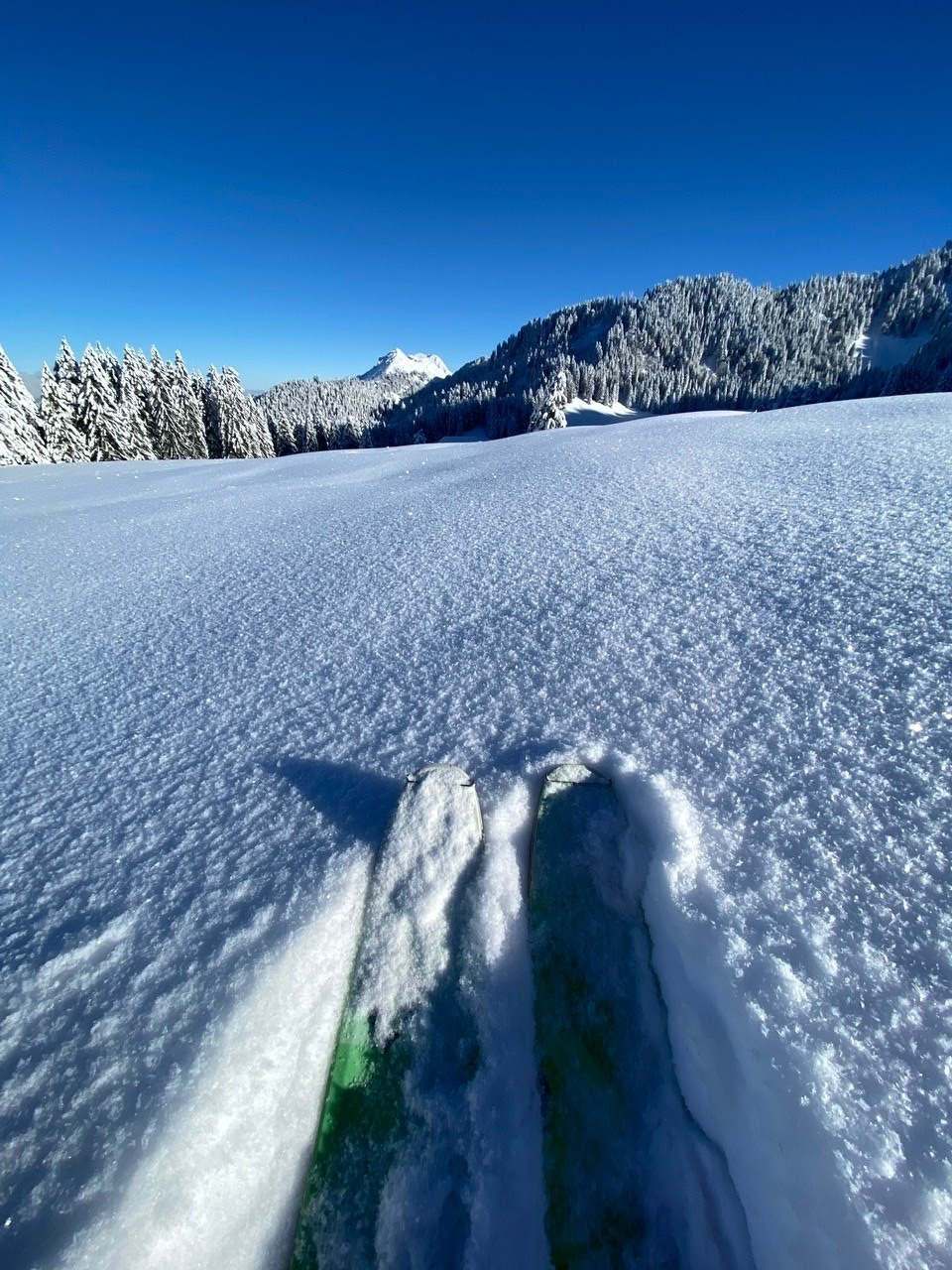 Instant de solitude face au Moléson