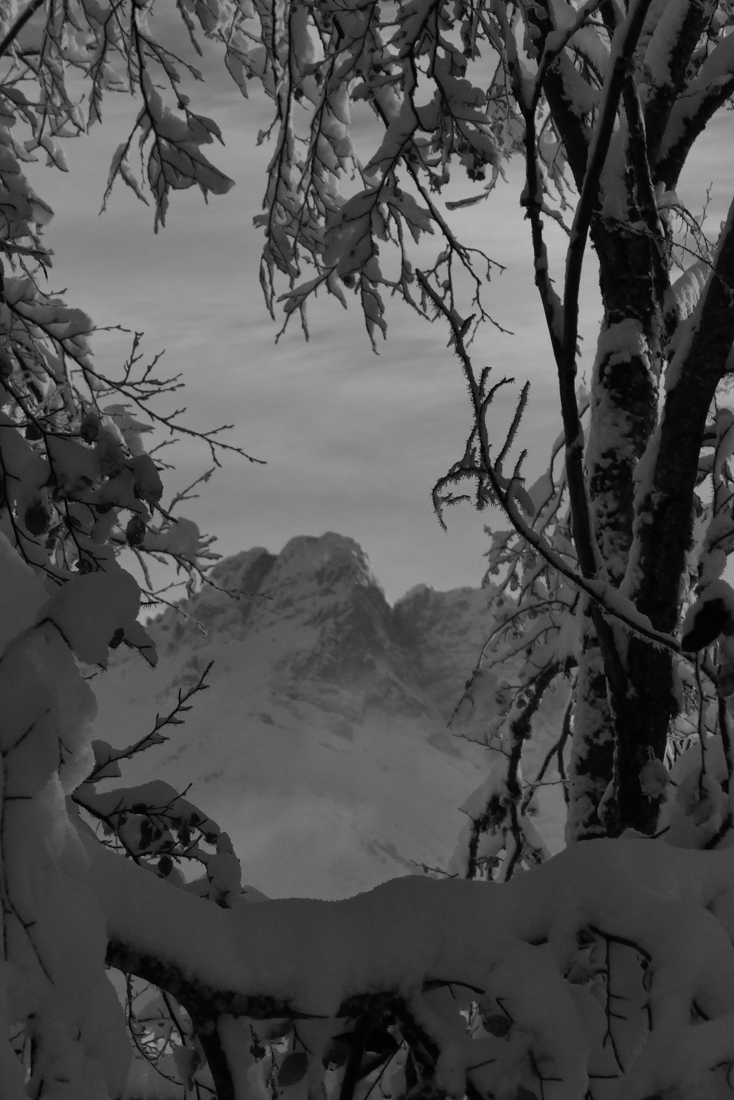 Fenêtre sur l'Arcluz'