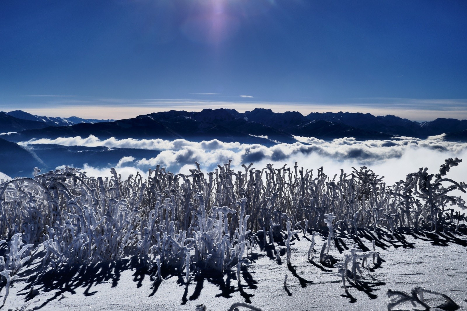 Attroupement d'empereurs...