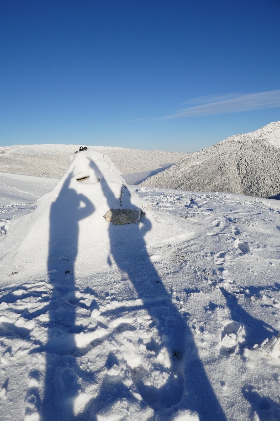 Zinzin de la fiole...