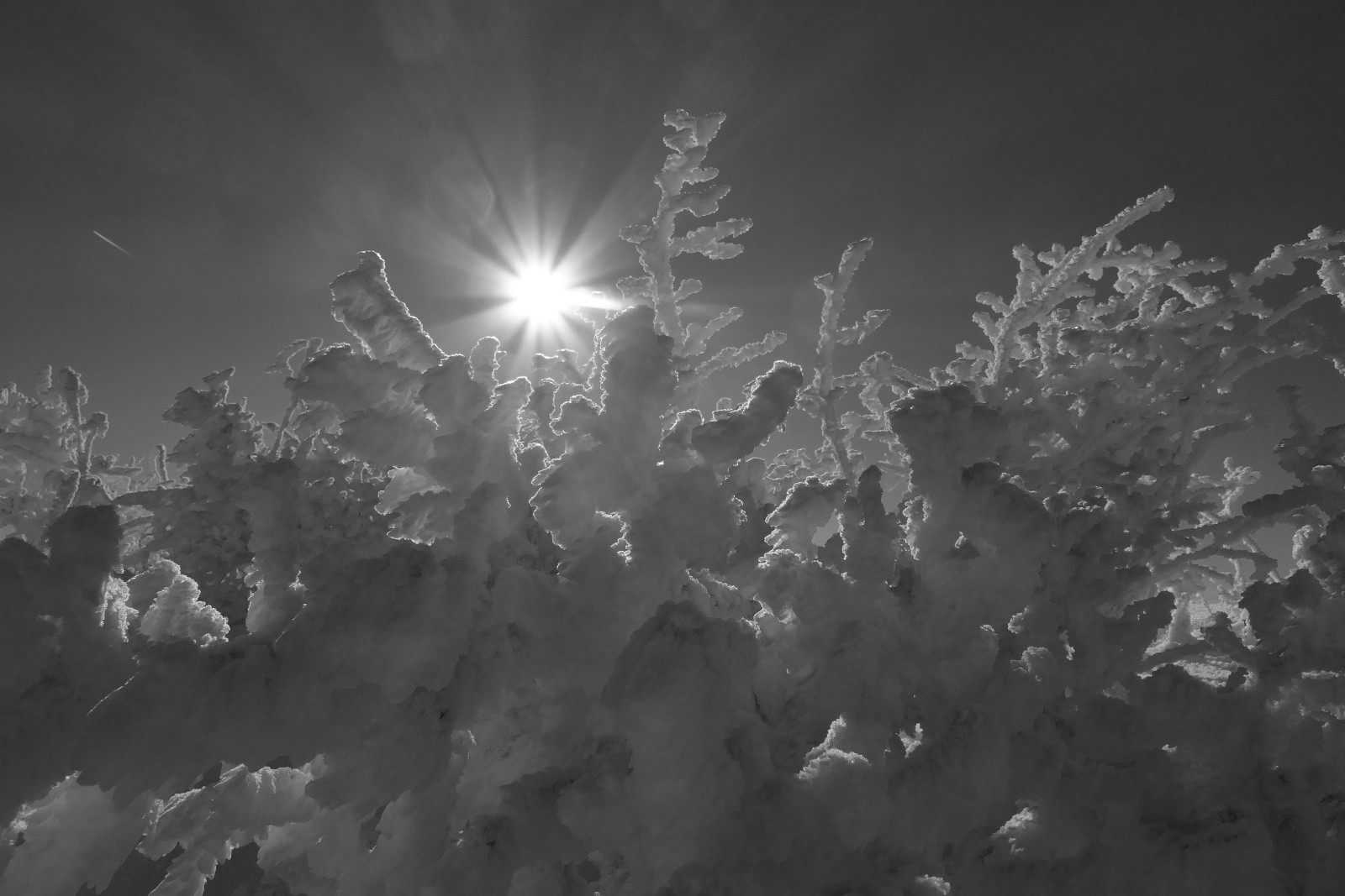 Dame nature dans ses œuvres...