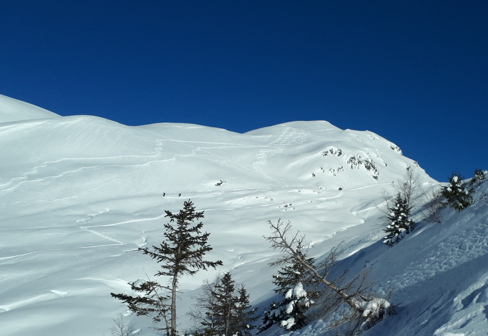 Ca a l'air bien dégueu :-))