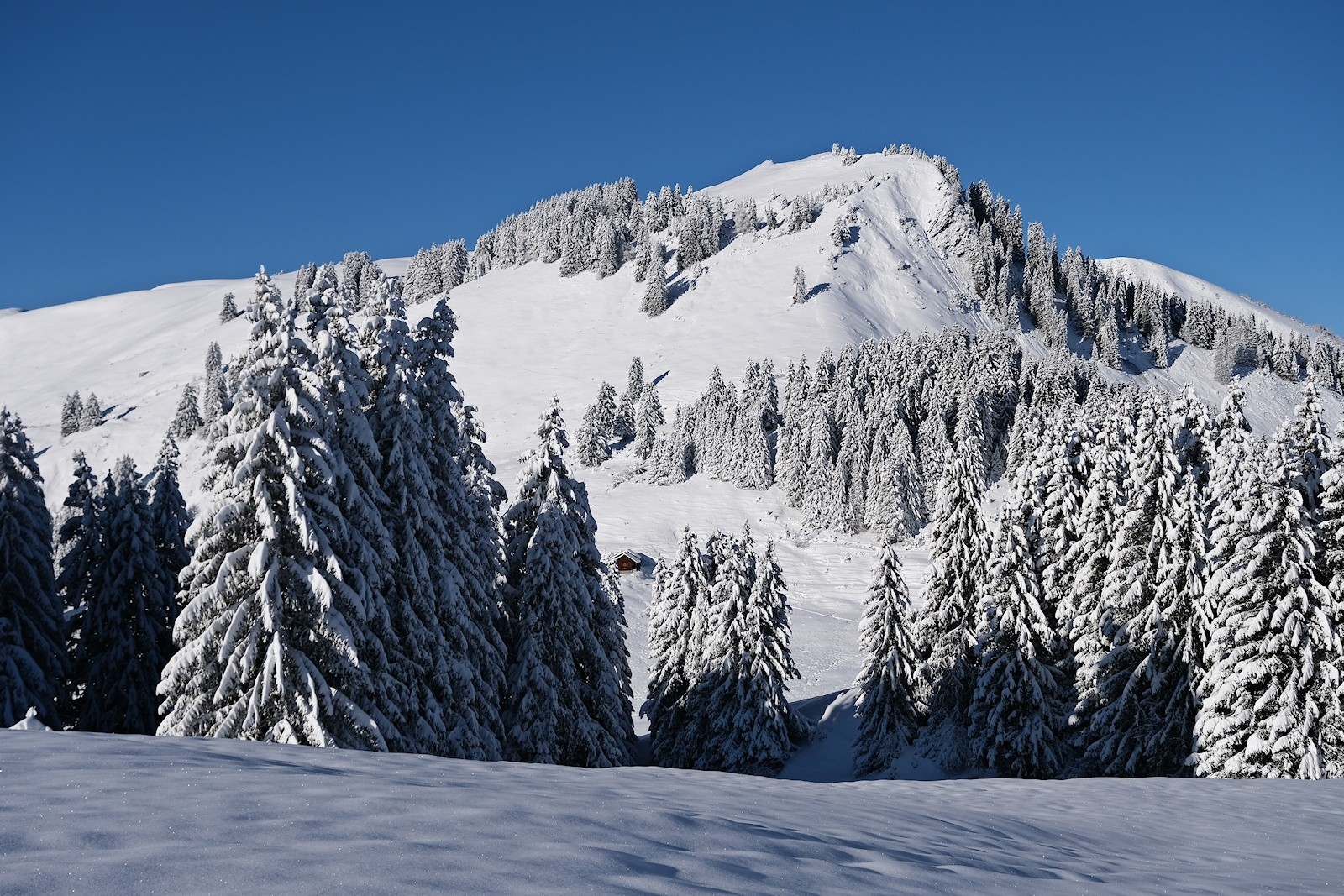 Dans le rétro, en montant à Orsière.&nbsp;
