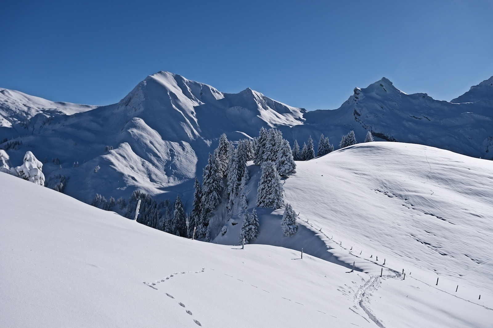 Sous le sommet d'Orsière, vue vers le sud&nbsp;