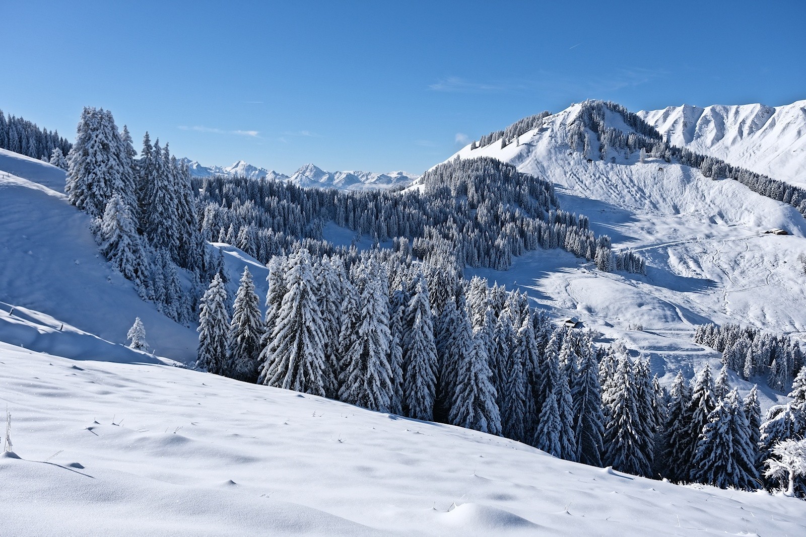 La suite, en direction de l'Arbarete.&nbsp;