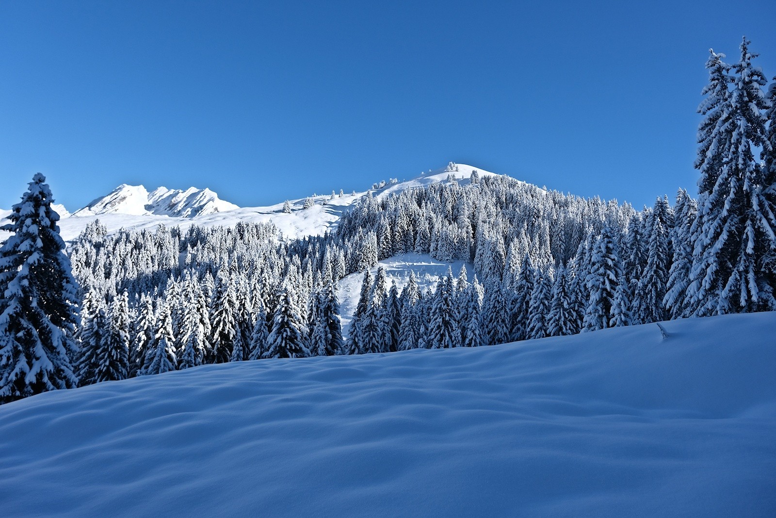 L'orsière premier sommet du jour.&nbsp;