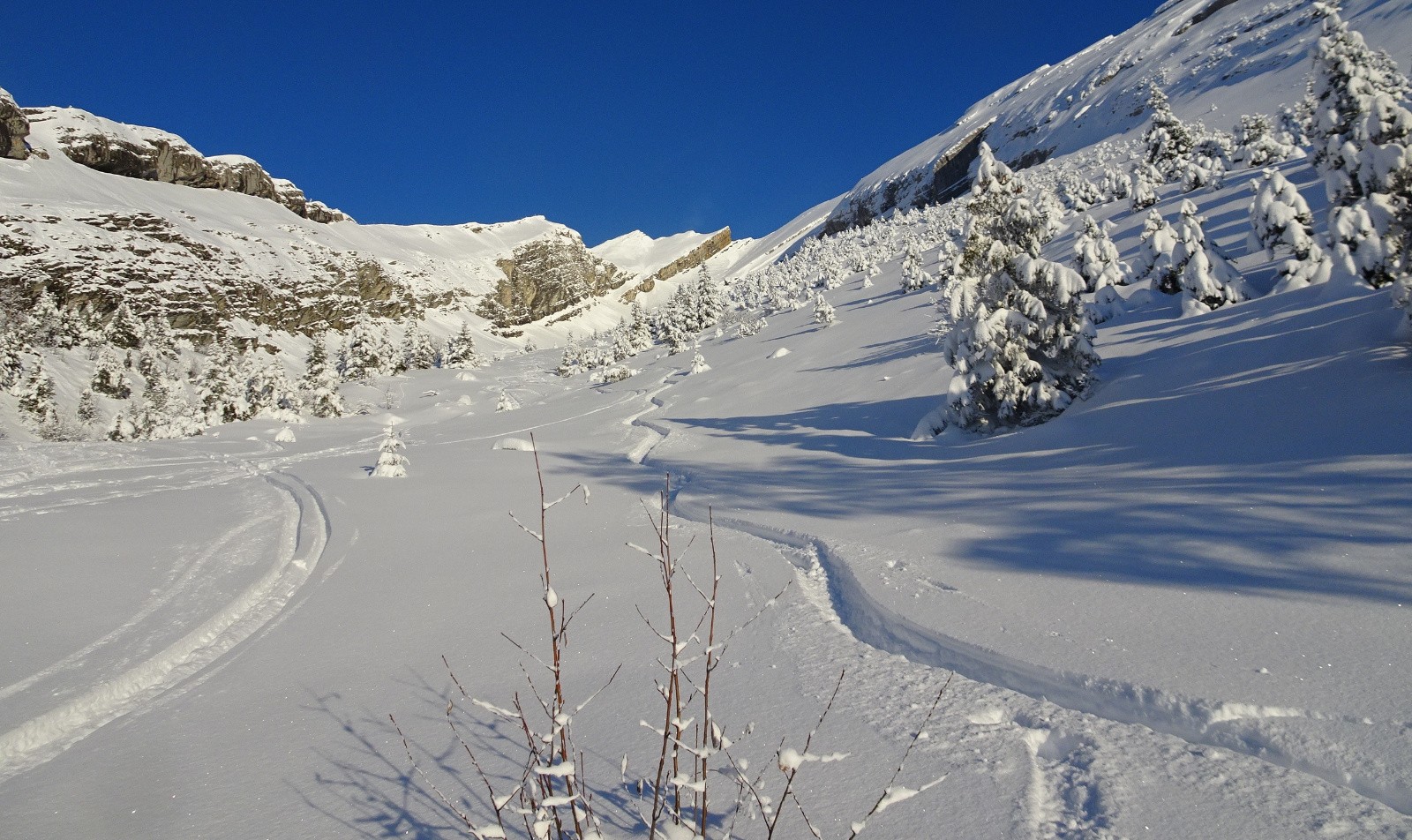 bas de la combe&nbsp; 