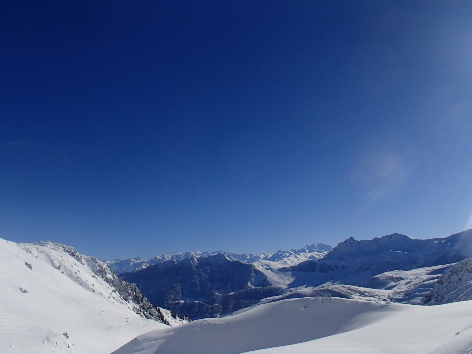 OLYMPUS DIGITAL CAMERA         