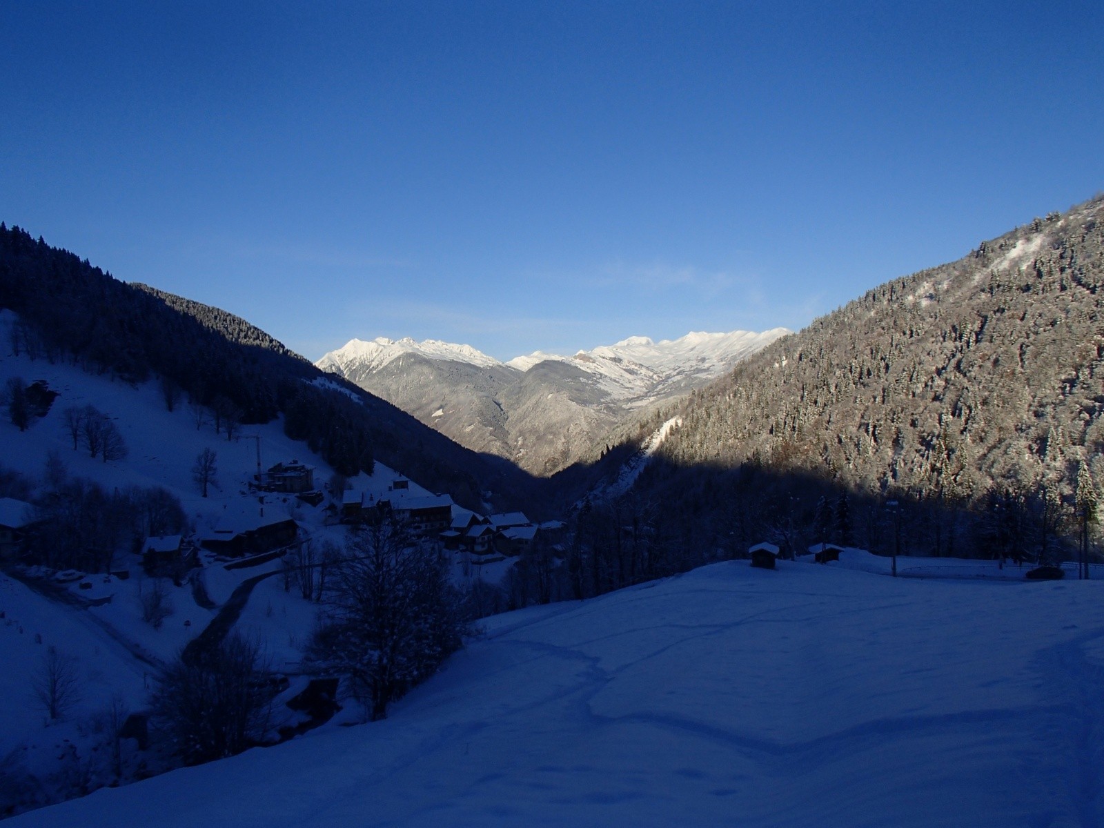 OLYMPUS DIGITAL CAMERA         