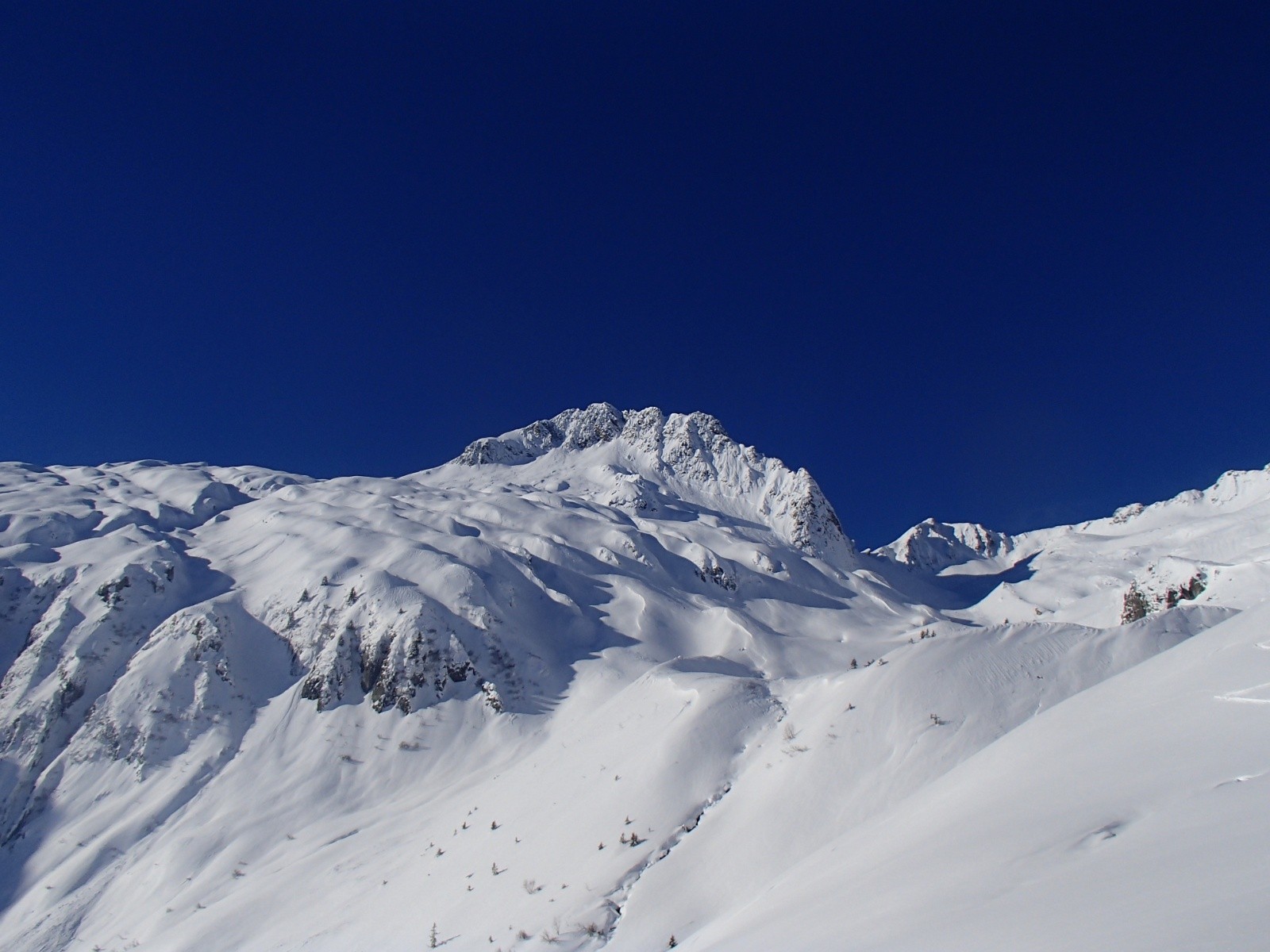 OLYMPUS DIGITAL CAMERA         