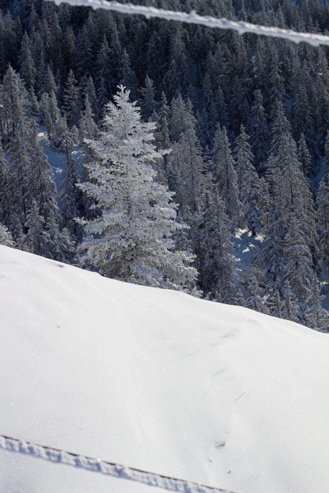 par diagonales, encadré 