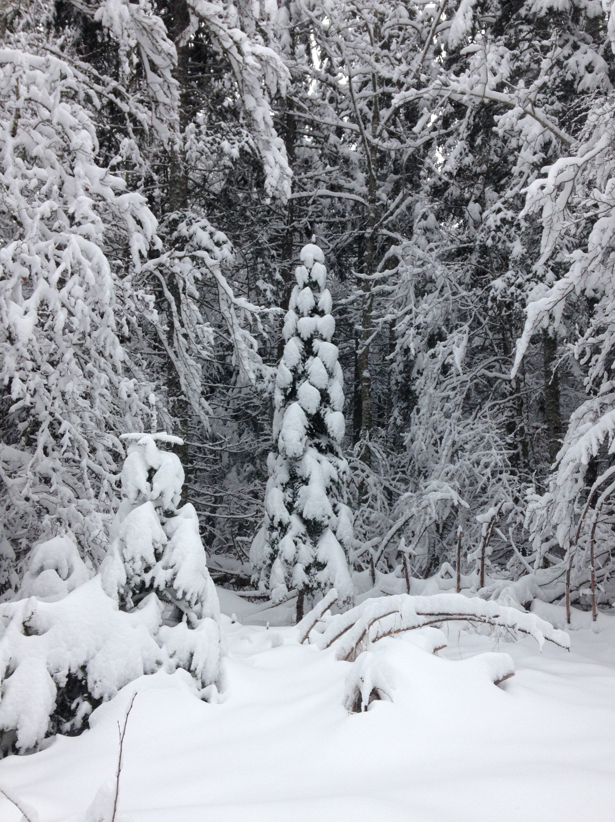 seul et bien entouré 