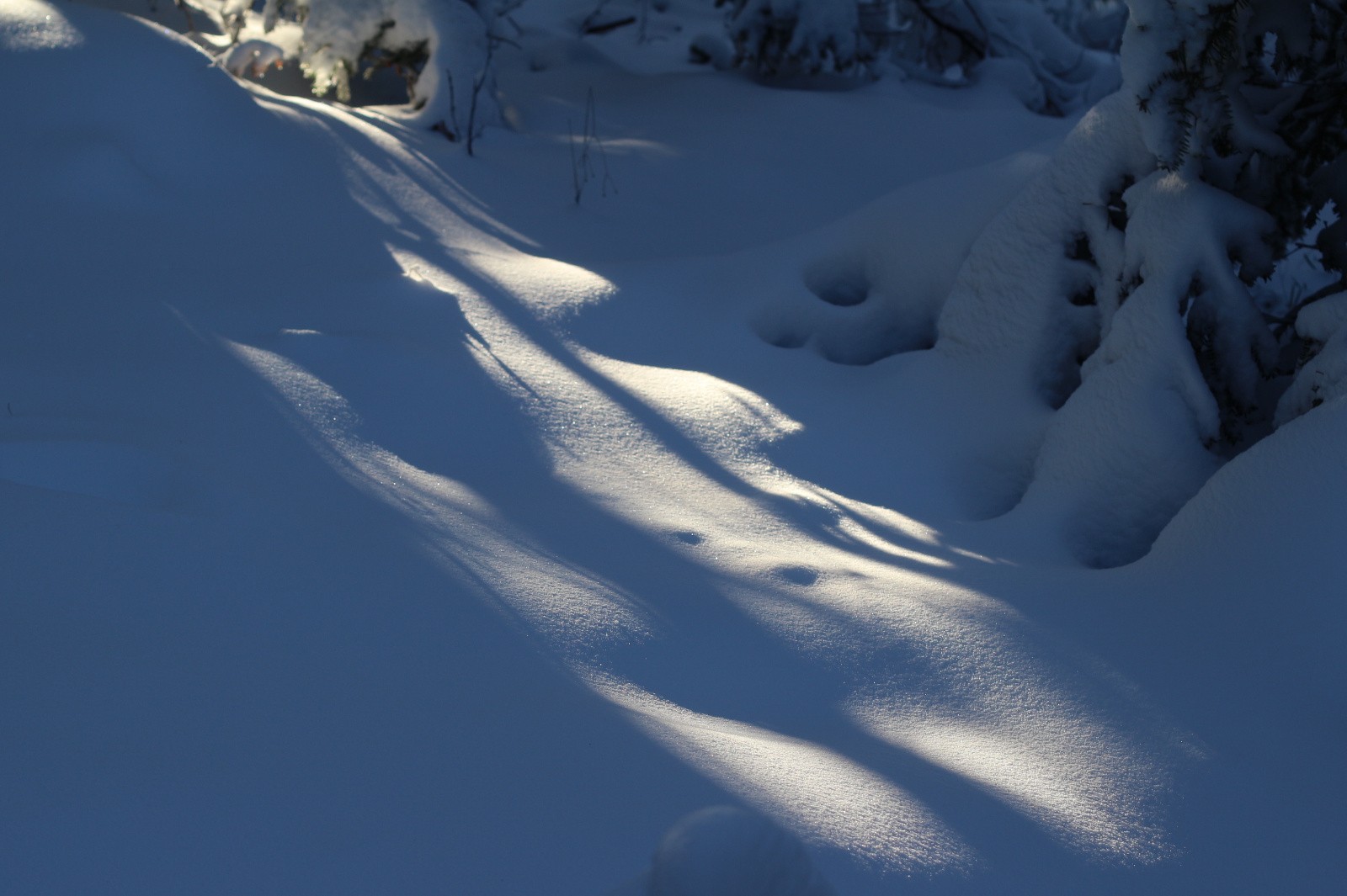 douceur des lumières 