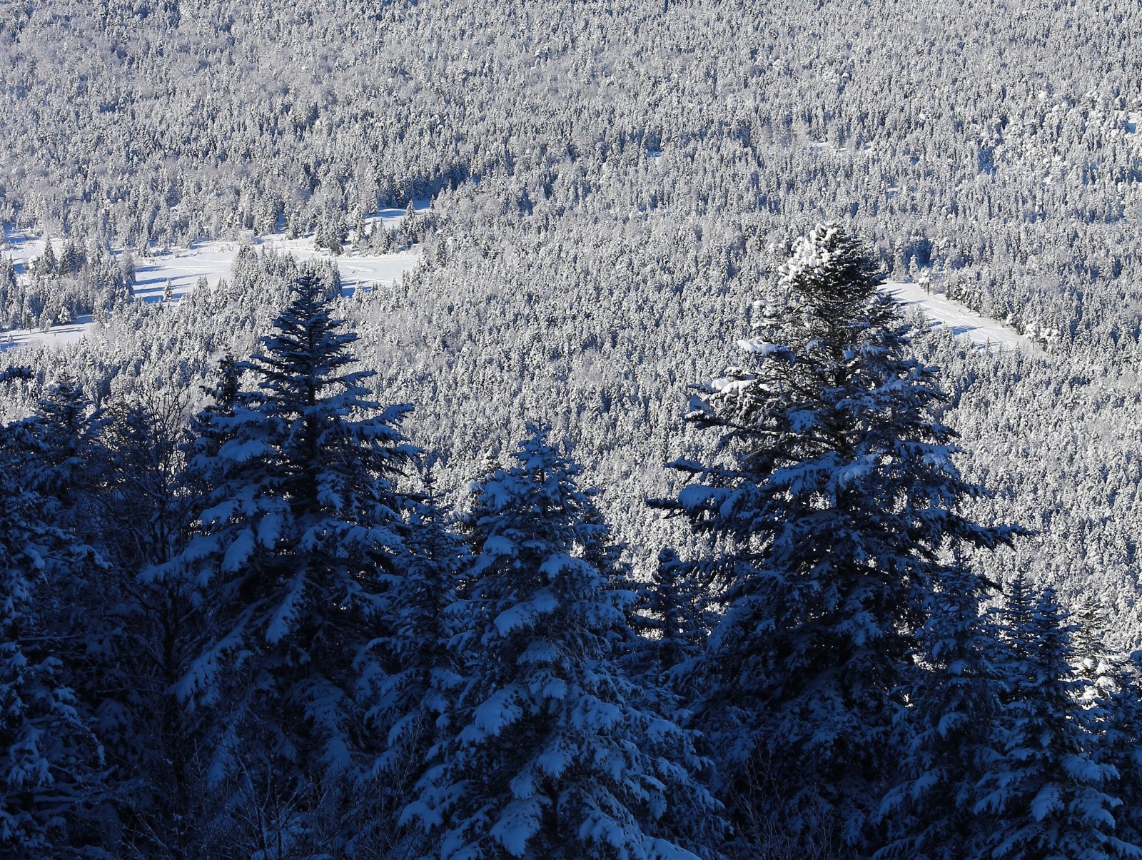 vue sur les bois parcourus la veille 
