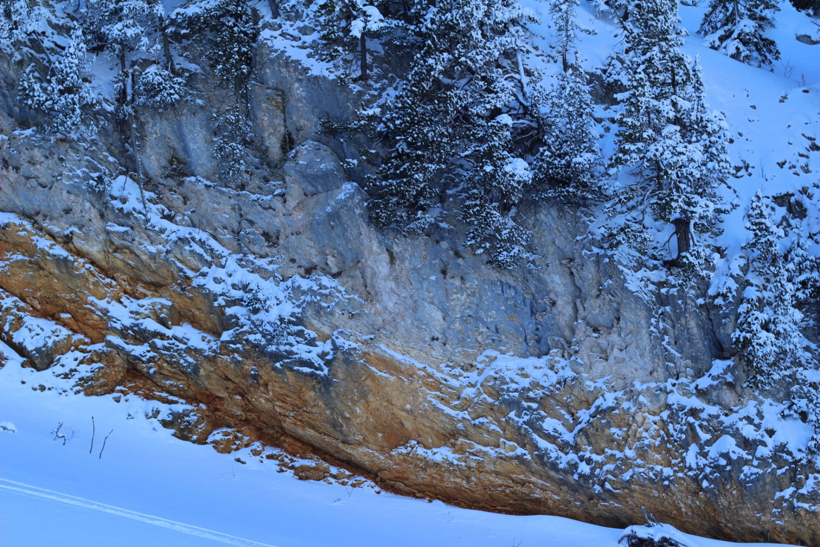 falaises aux bases mordorées