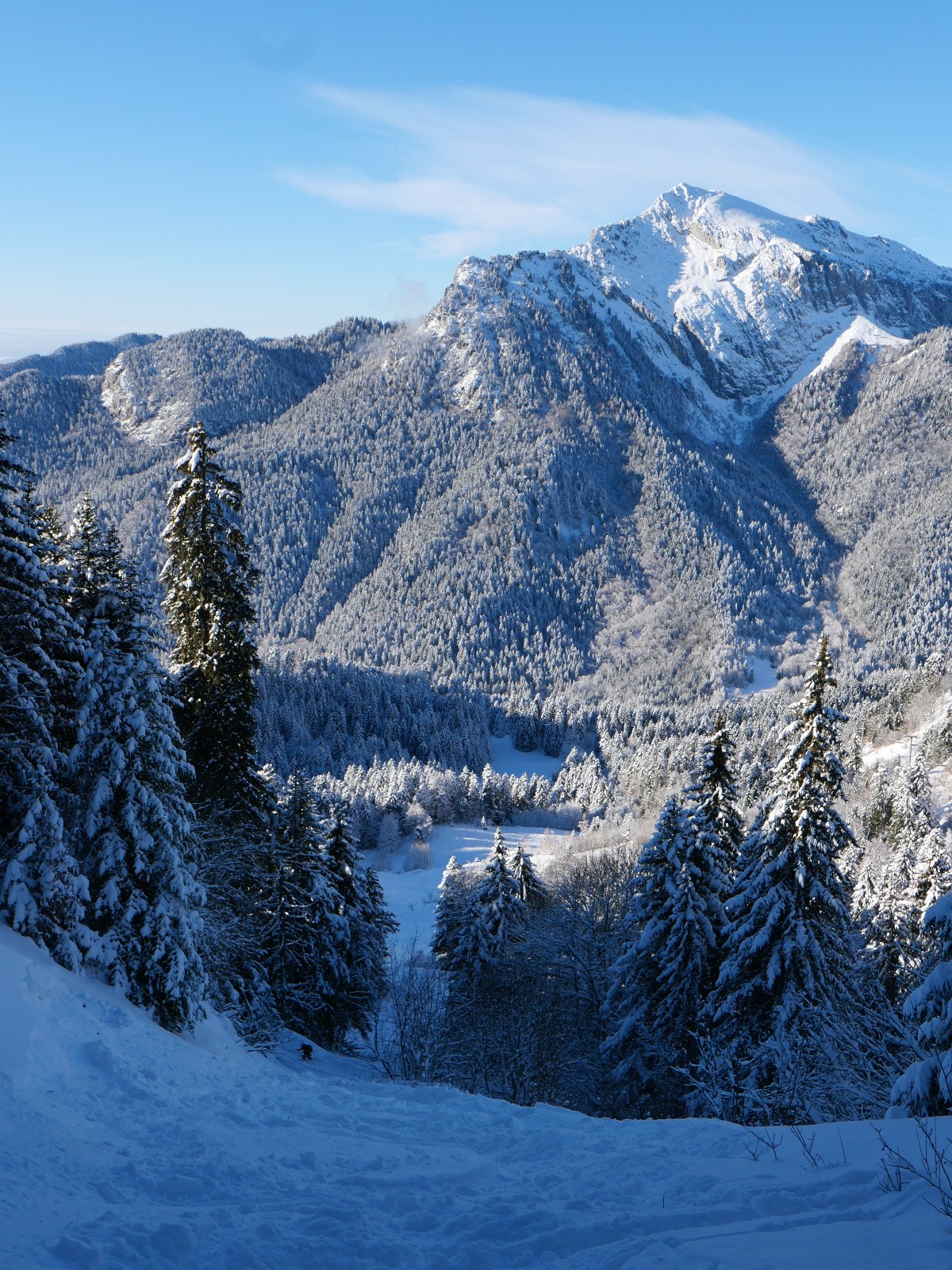 Retour par secteur Chardons 