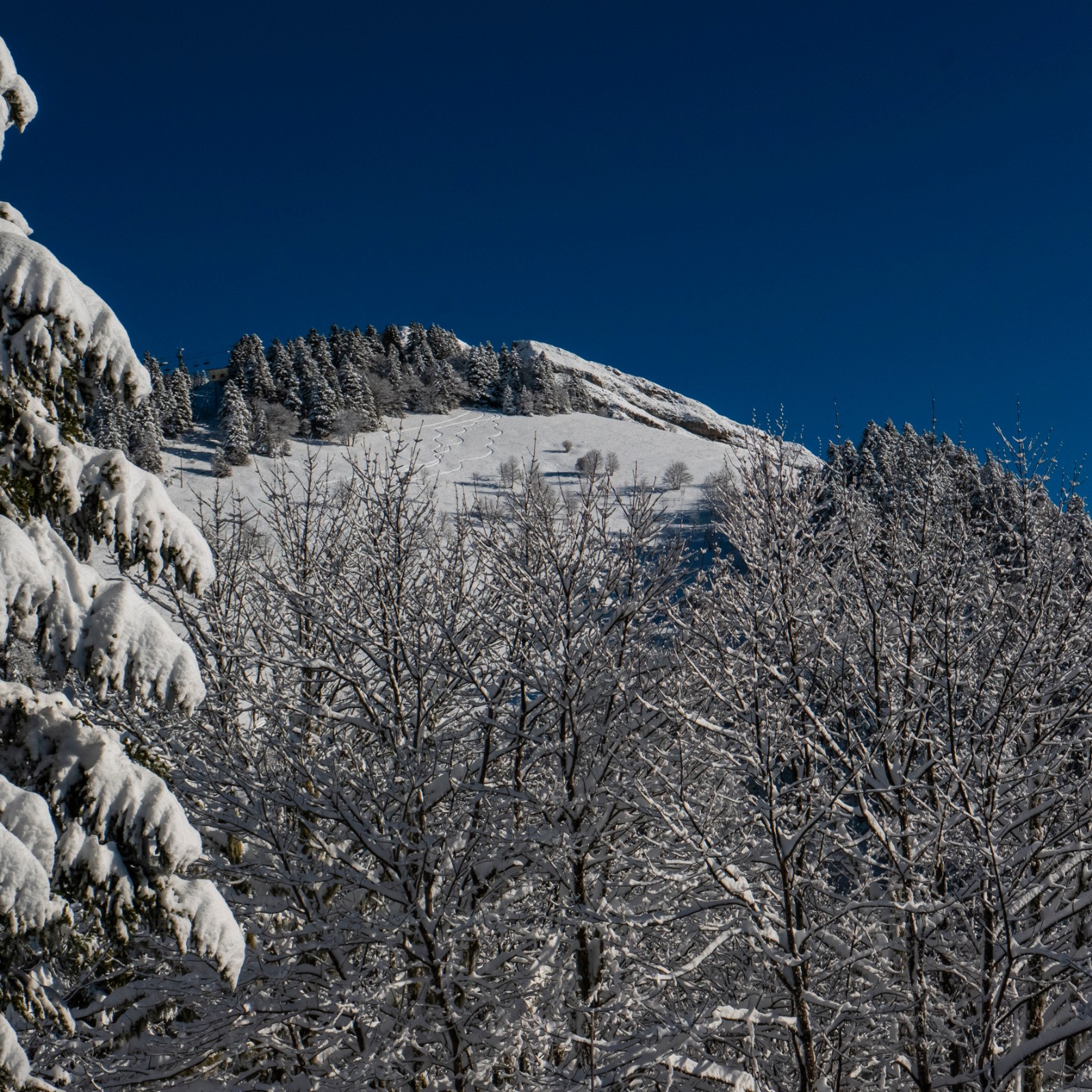Scia vue du haut de la piste forestière 
