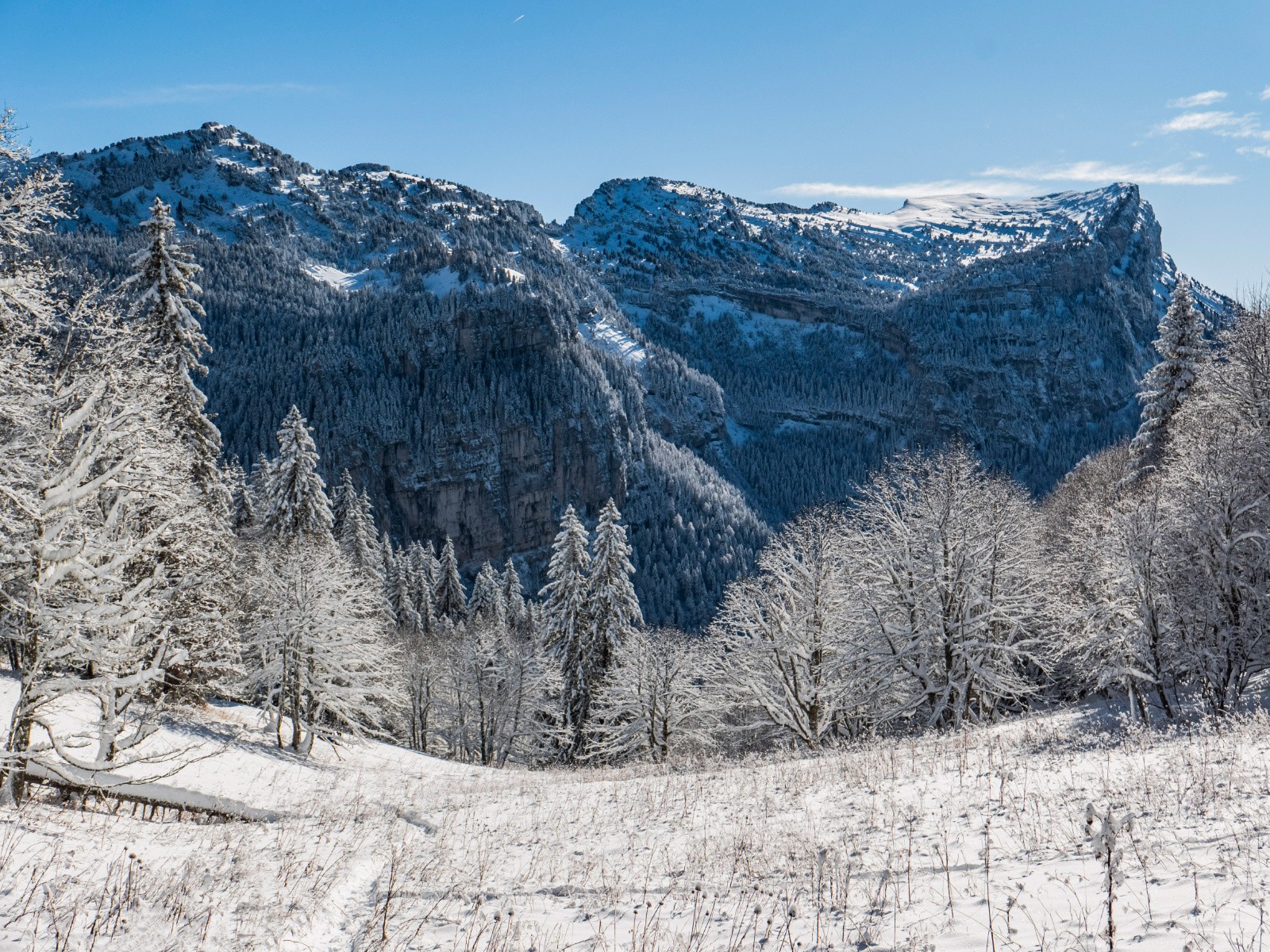 Vers le col de la Saulce 