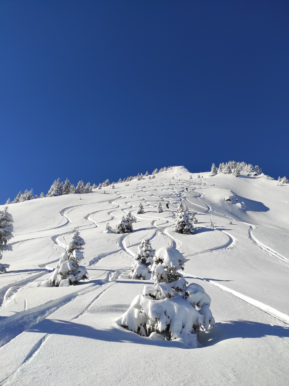 sous la crète du sommet de roche plane