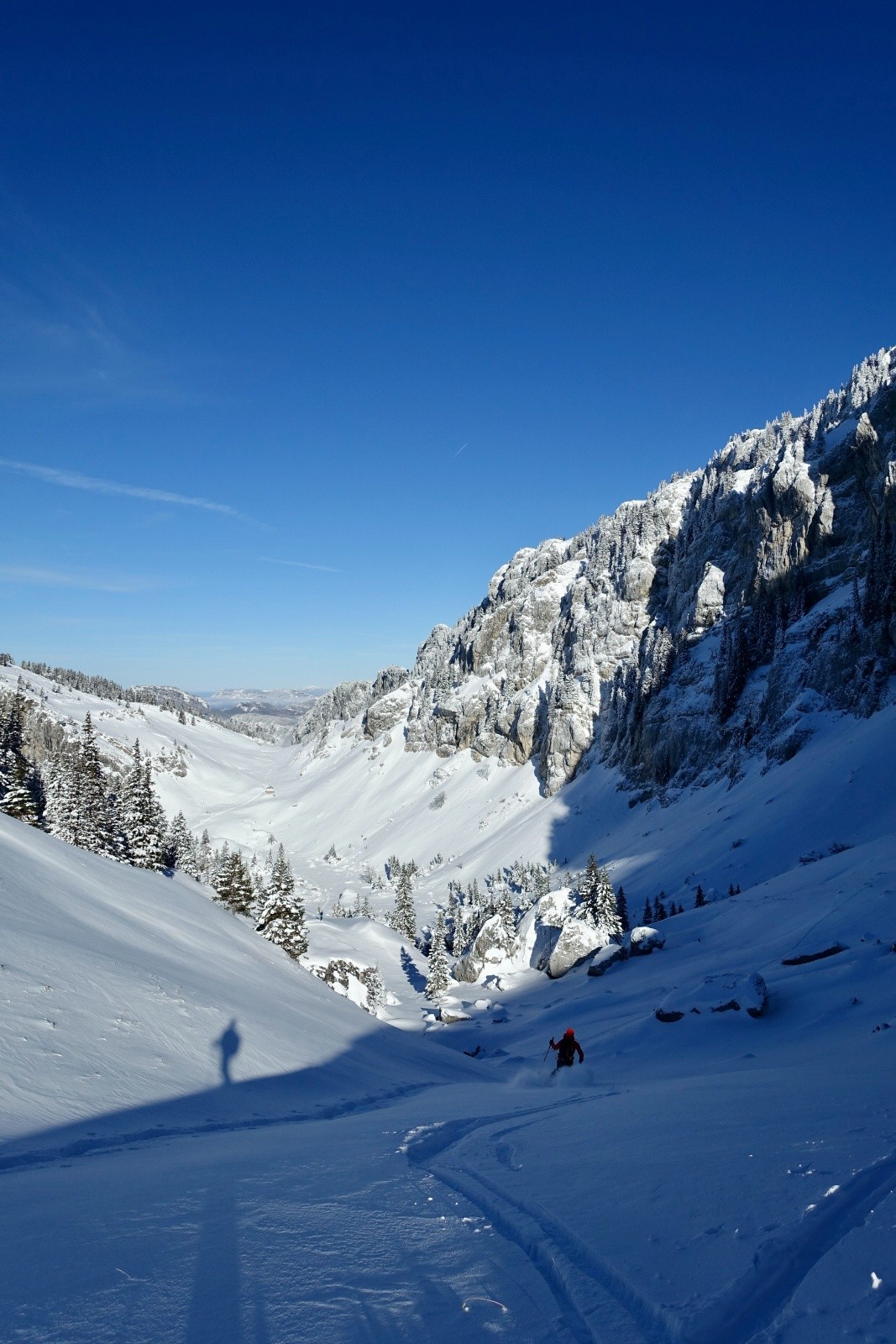 Petit Chaperon Rouge et Grand Méchant Loup ?