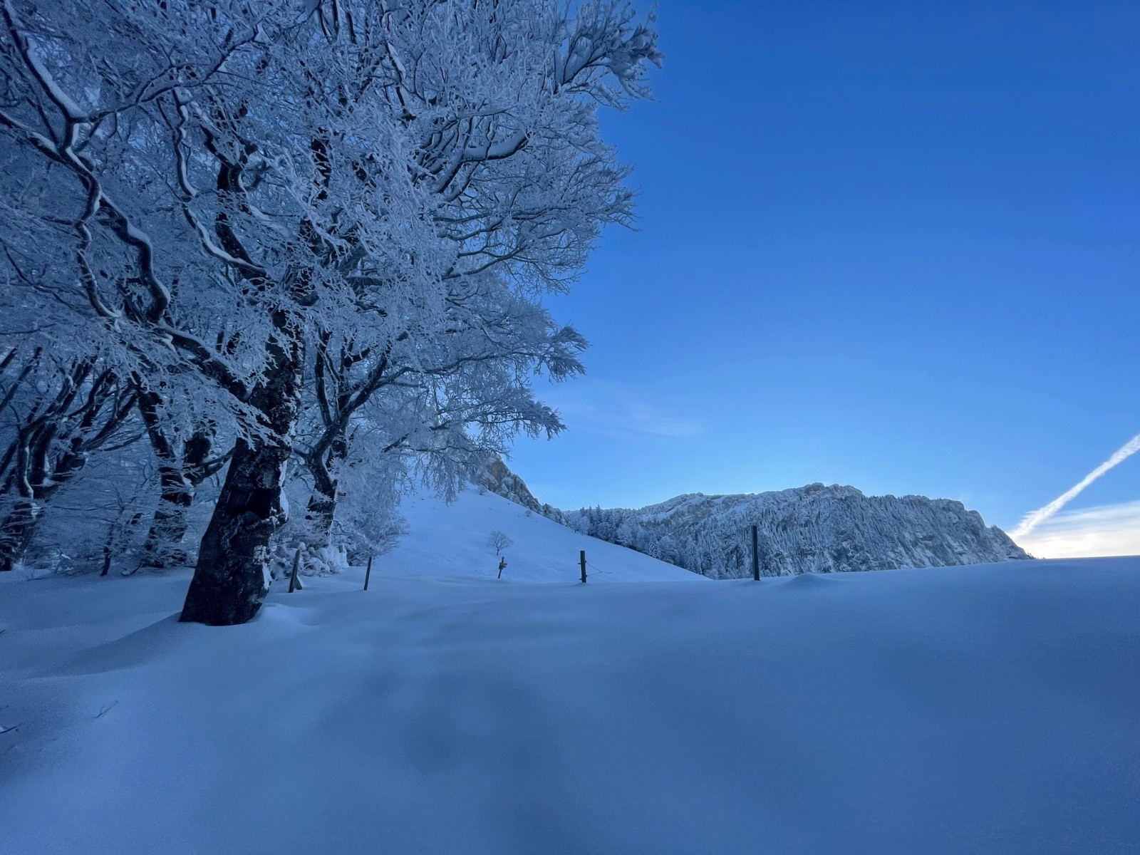 &nbsp;Au col de la Ruchère, l’émerveillement