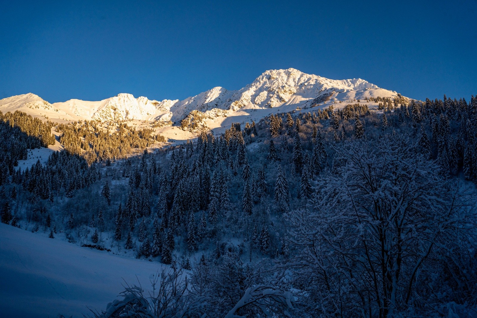 #40 Beauuuuuuuu Beauuuuuuuu