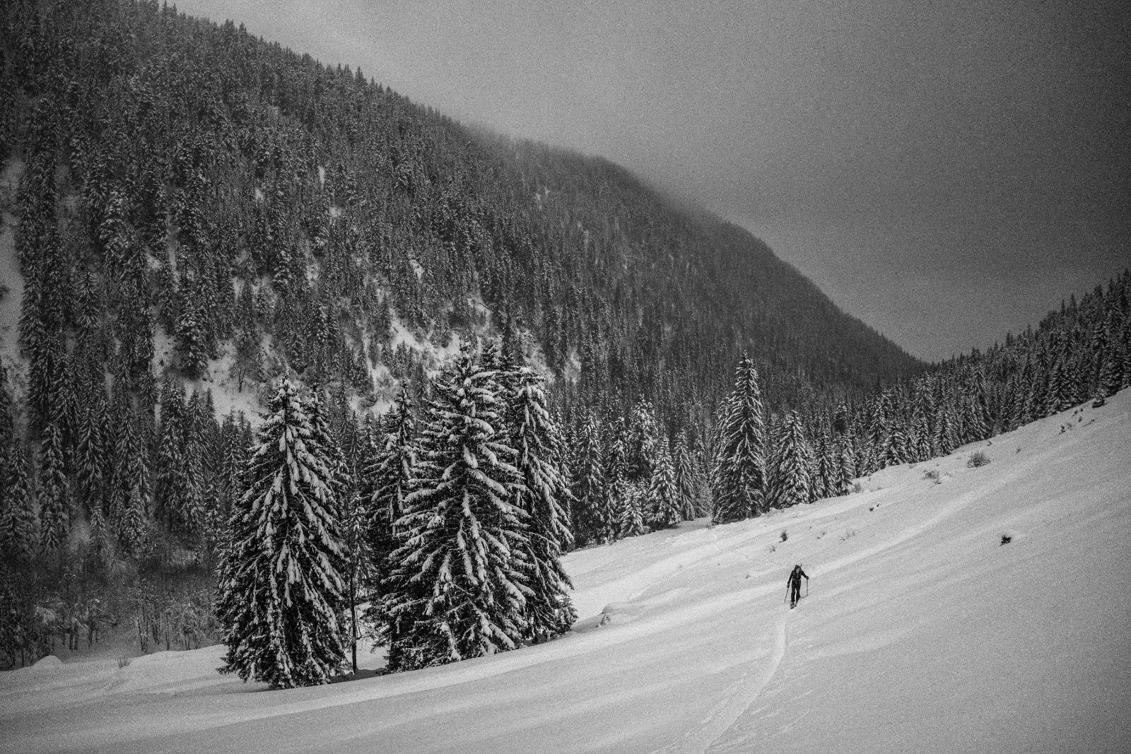 #4 La nuit tombe La nuit tombe