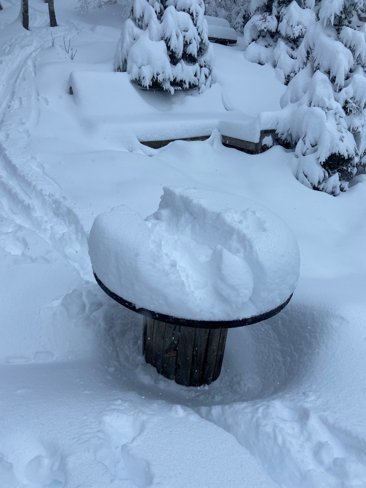 Chauffeur, si t’es champion …