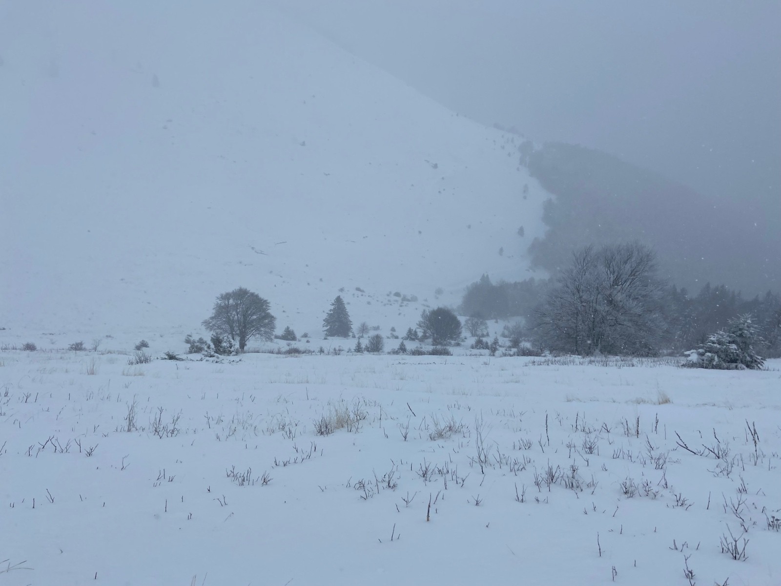 Si y’a des herbes c’est que ça passe