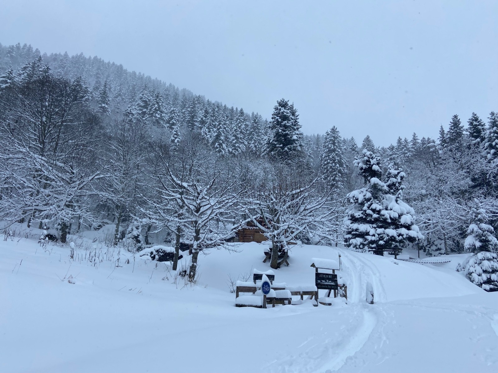Snack bar & chantilly