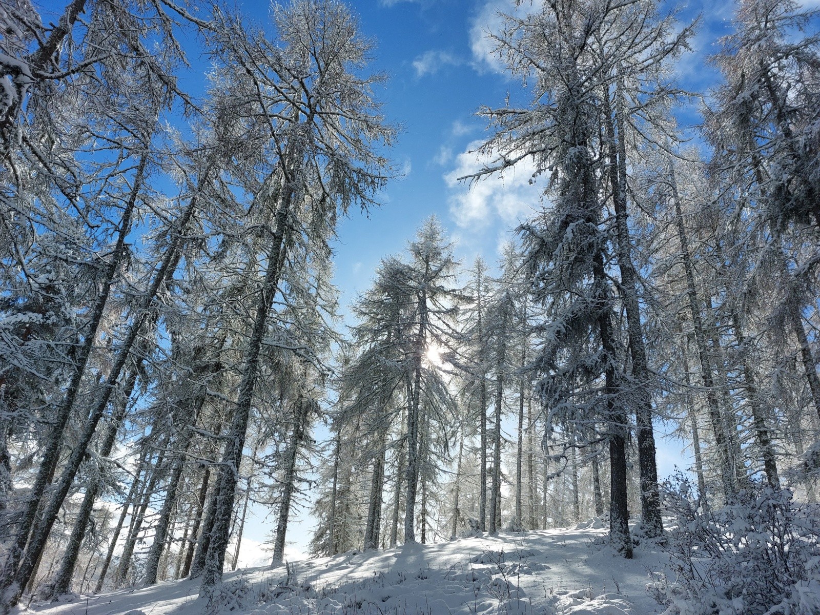 &nbsp;Une idée de la beautée