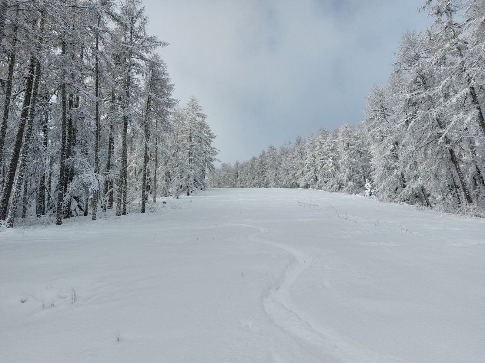 &nbsp;Descente de Serreglier