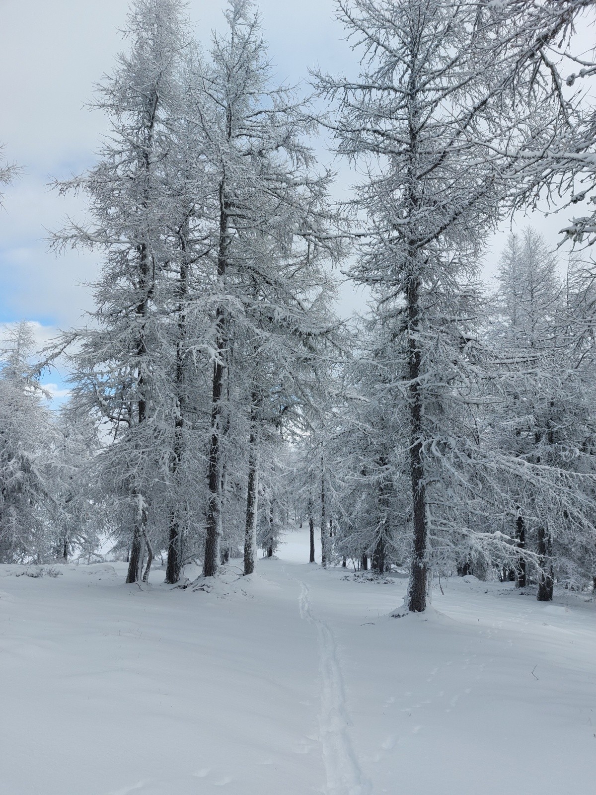 &nbsp;Le ciel se degage