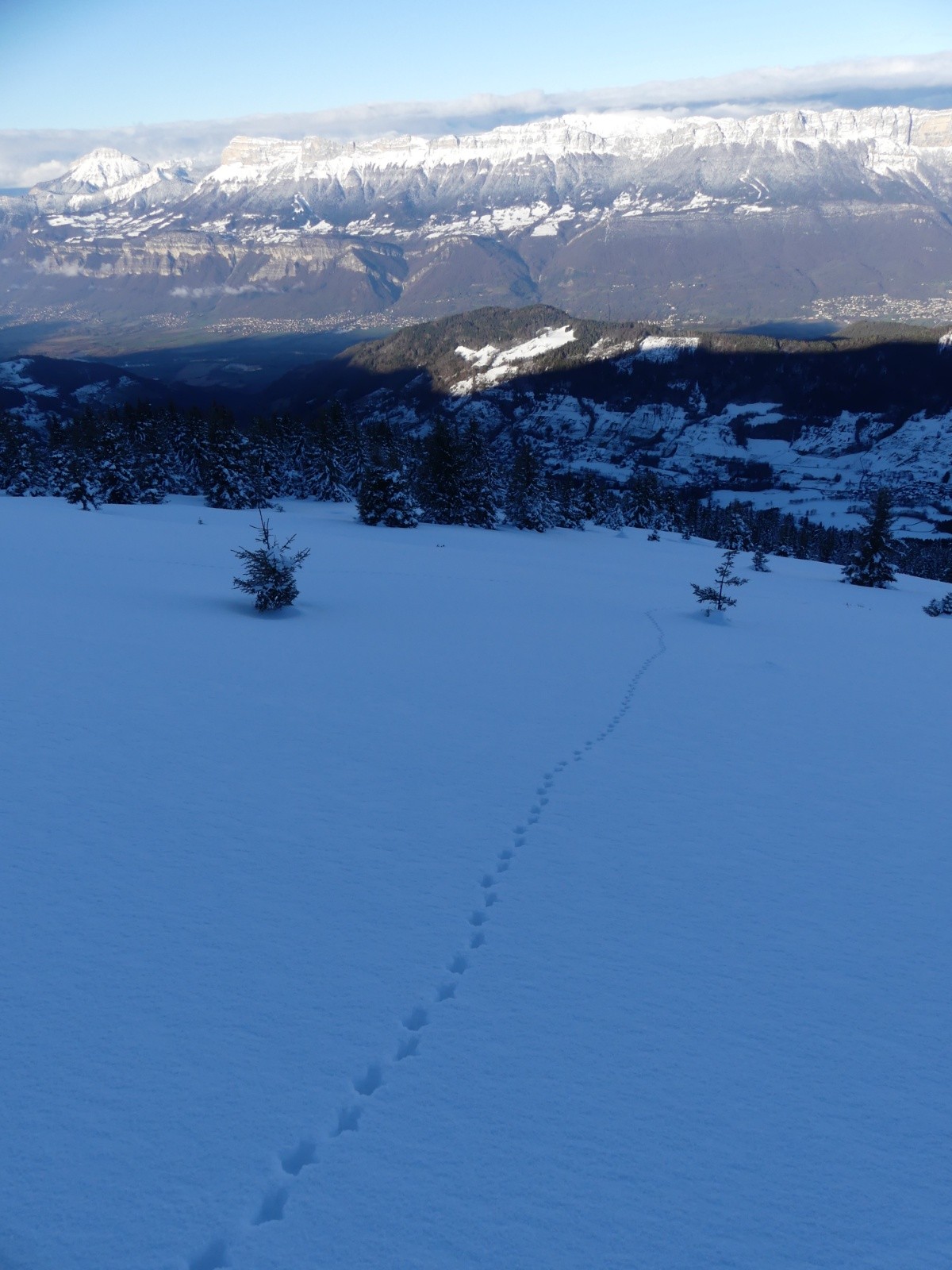 tétras dré dans le pentu