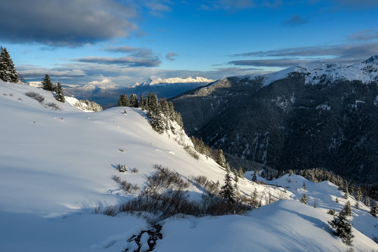 Quel privilège !&nbsp;&nbsp;