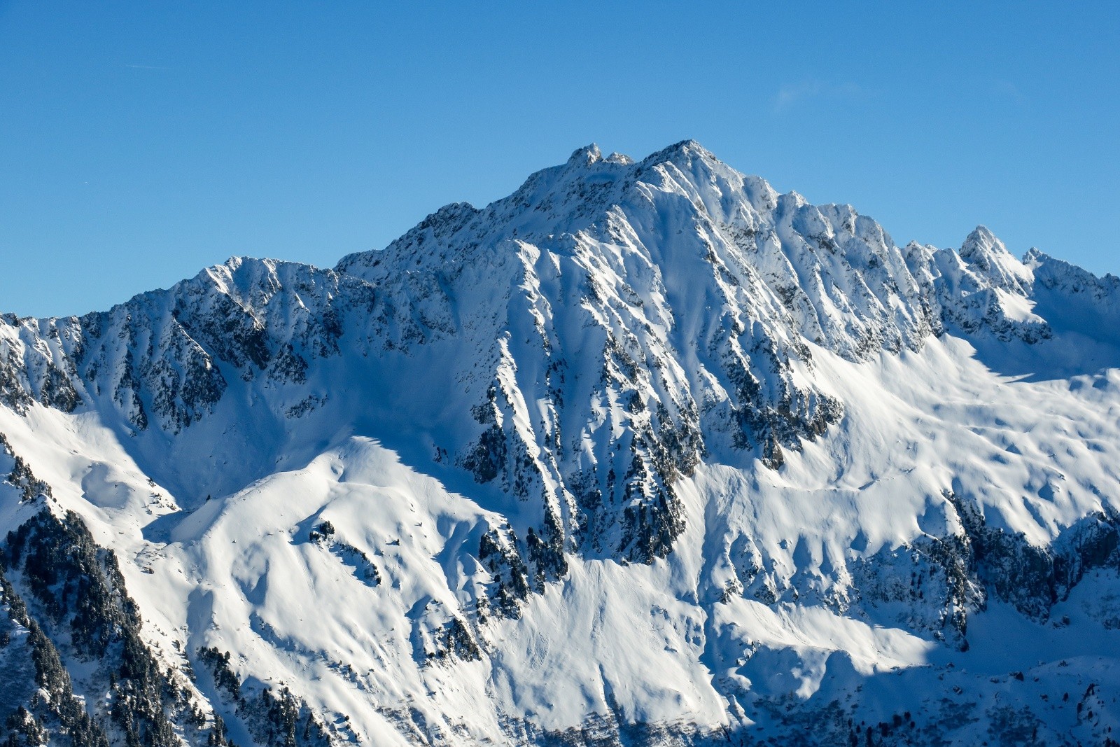 Grand Miceau bien crépi !&nbsp;&nbsp;
