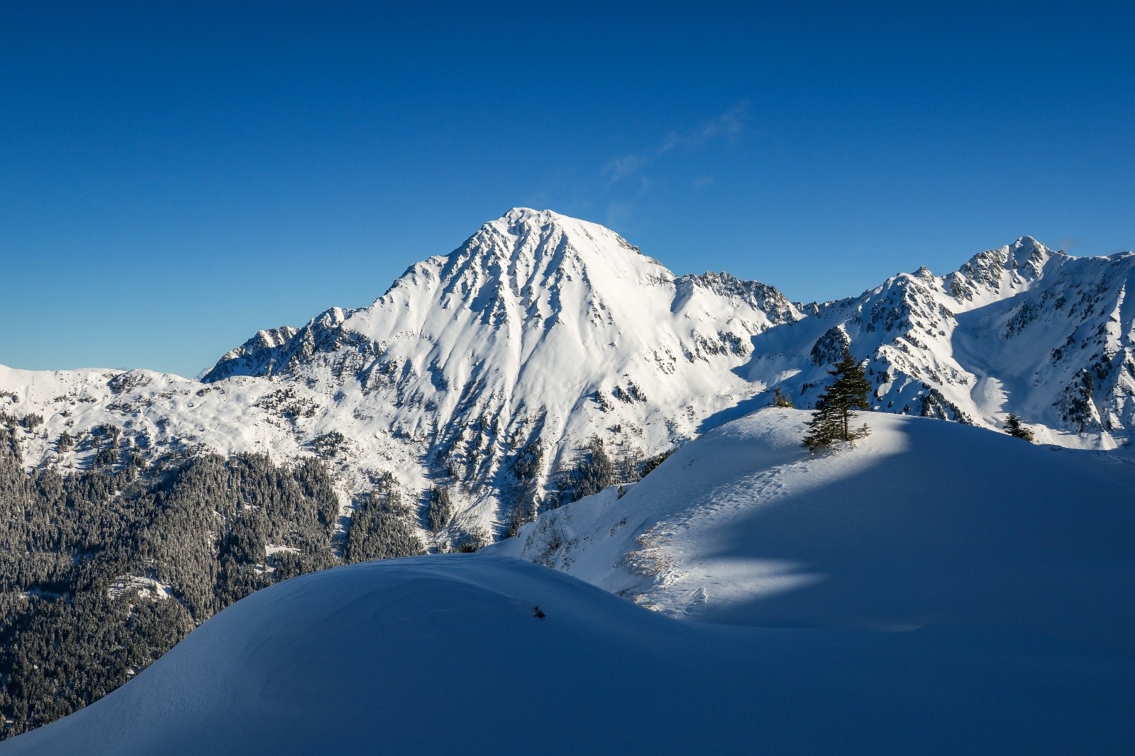 &nbsp;Les grands Moulins&nbsp;