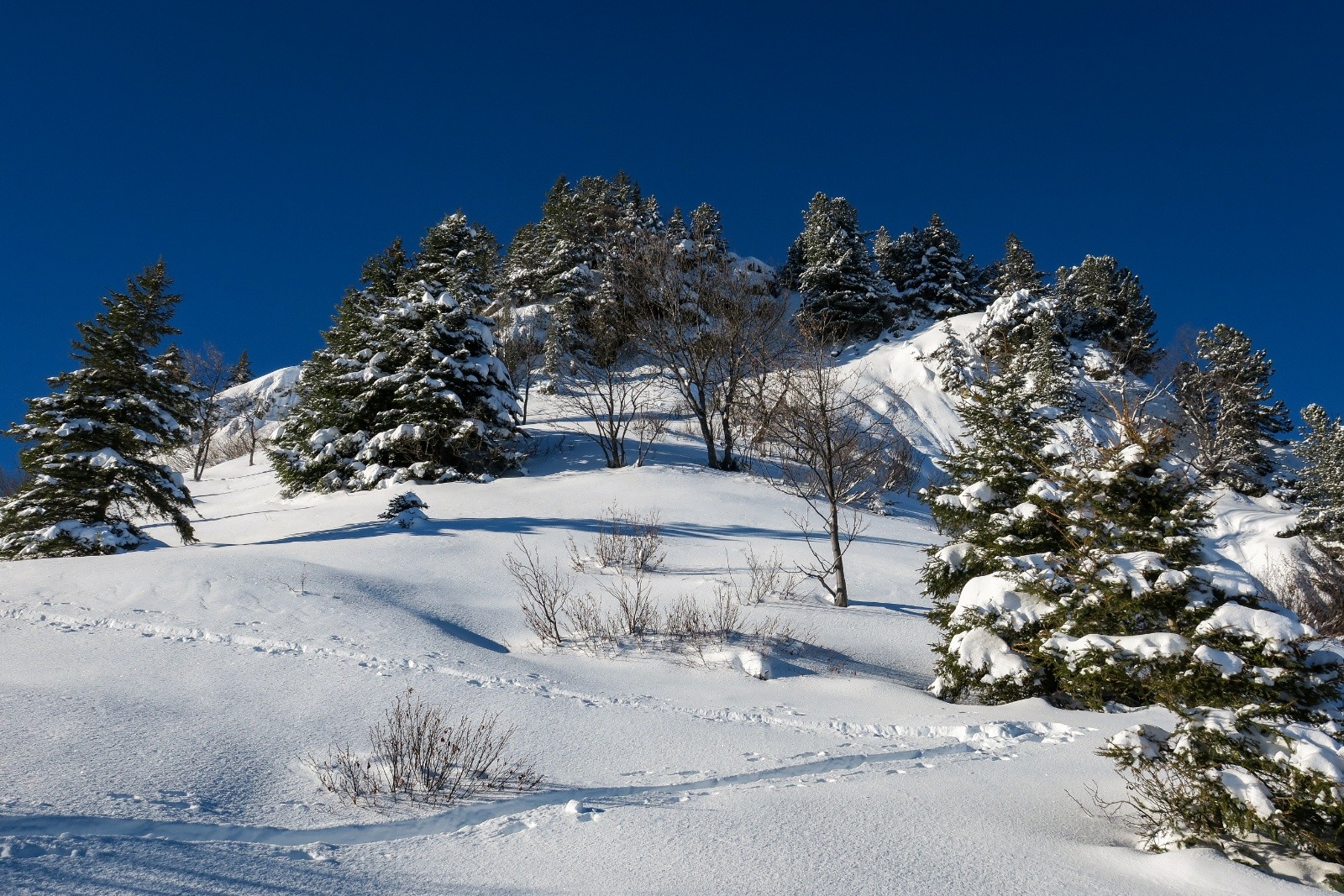 &nbsp;Remontée bien agréable
