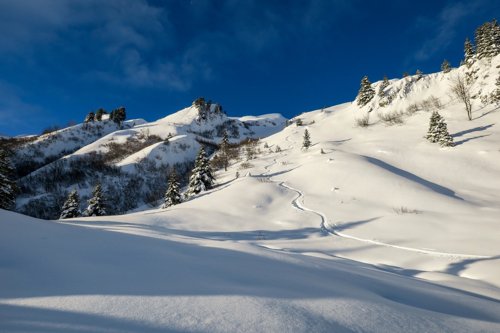 &nbsp;Fantastique moment !&nbsp;