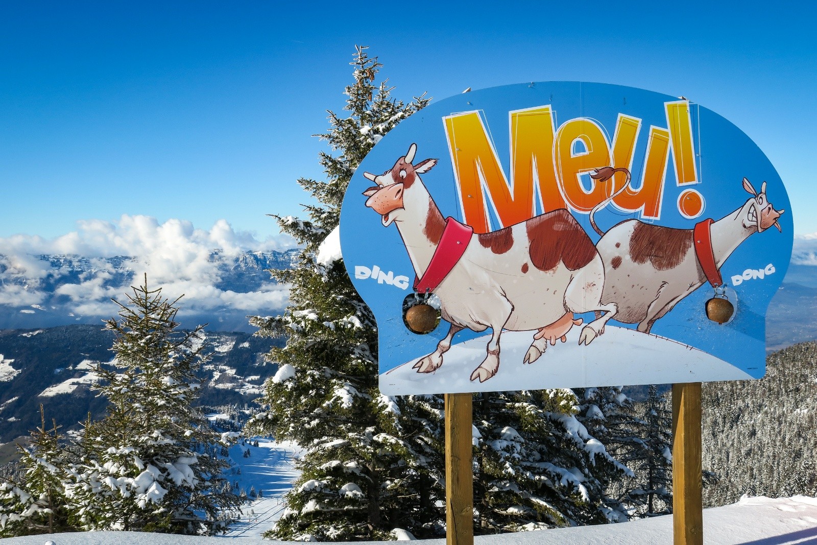 &nbsp;Puisqu'on vous dit MEU !!!!&nbsp;